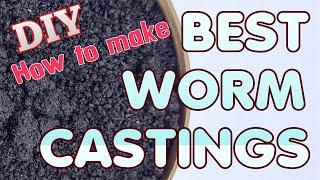 Mastering Worm Castings: Elevate your garden