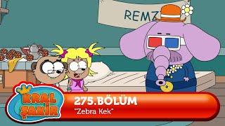 Kral Şakir 275. Bölüm  - Zebra Kek (Yeni Bölüm)