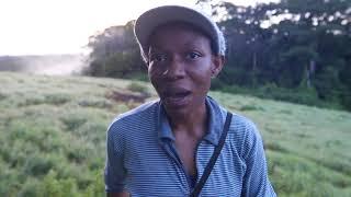 Watch: Solving a plant-pollinator mystery at Bouamir