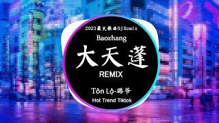 Đại Thiên Bồng - Lộ Gia 大天蓬 - 璐爷 (DJ抖音 Remix) 【抖音热门歌曲】『這一世換我護你一對。』Nhạc Remix Tiktok Douyin 抖音