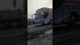 BUS NUSANTARA KUDUS - CIREBON OM TELOLET #truck #shorts #business #viral #basuri #bus