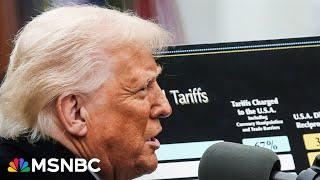 Congress hasn't 'held back the king' while Trump takes powers that aren't his: Economist