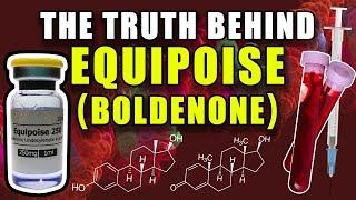 THE TRUTH BEHIND EQUIPOISE - Does Boldenone Aromatize Into Estradiol Or Act As An AI?