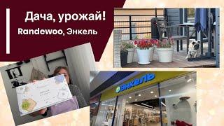 Леруа Мерлен, дача, урожай, продолжаем делать террасу, Randewoo и магазин Энкель!️