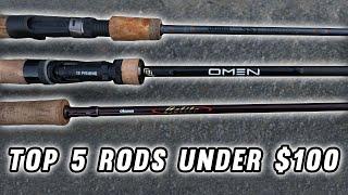 The Top 5 fishing rods under $100! 2024 Buying Guide