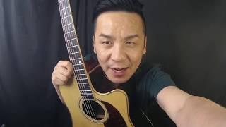 Custom Acoustic FG92CEQ Guitar review in Singapore