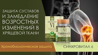 Обзор. Синхровитал 6 siberian wellness. Защита ваших суставов