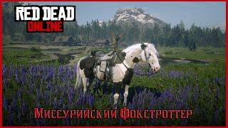 RED DEAD ONLINE. МИССУРИЙСКИЙ ФОКСТРОТТЕР ЗА ЗОЛОТО. ВОРОНАЯ ТАВЕРО.