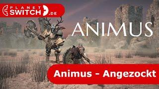 Animus (Switch) - Angezockt