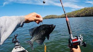 Can This Crappie Survive???