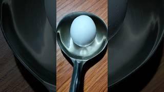 easy omelette making#shorts||md intelligence