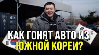 Как на самом деле работают автоэкспортёры из Южной Кореи
