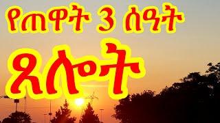 የጠዋት ሦስት ሰዓት ጸሎት - Tselot Tewat Sost Seat