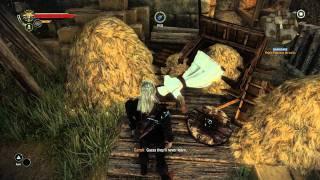 The Witcher 2 - Assassins Creed easter egg