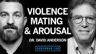The Biology of Aggression, Mating, & Arousal | Dr. David Anderson