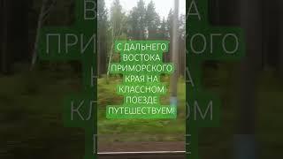 Благодаря Фонду можем поехать куда хотим.Не работаем.Деньги из потока. Деньги всегда есть#заработок