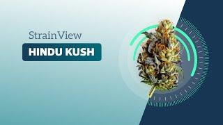 Hindu Kush - Strainview