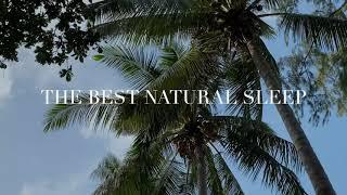 The best natural sleep at Sea Gypsy Village