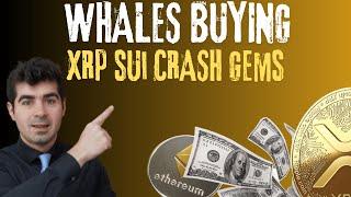 Why WHALES LOADED UP on XRP and these 3 coins