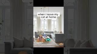 When I leave my cat at home #funny #memes #mellstroy￼