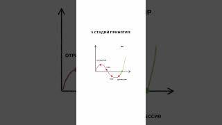 5 стадий принятия