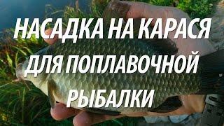 НАСАДКА ДЛЯ КАРАСЯ. УСПЕШНАЯ ПОПЛАВОЧНАЯ РЫБАЛКА НА РЫБУ КАРАСЬ