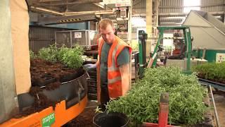 Palmstead Nurseries growing trees, shrubs and perennials (wholesale plant nursery)