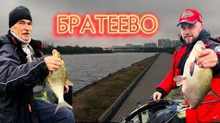 Рыбалка в Братеево. Осень 2024 #рыбалка #ловлялеща