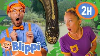 Blippi and Meekah's Wild Reptile and Animal Tour  Animals For Kids | Educational Videos for Kids