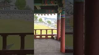 통영 세병관 뒤 정자에 서면 바다보여요- 정자아래 나무는 느티가 아니라 풍게나무 였네요