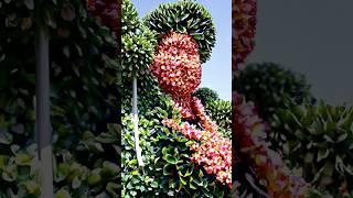 Viral video  #music #funny #trending
