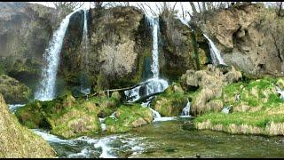 Waterfalls, Caves, and a Bear Sighting at Rifle Falls State Park