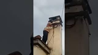 escape