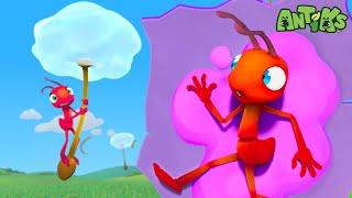 The Ants Get In A STICKY Situation | Antiks  | Action Cartoons For Kids