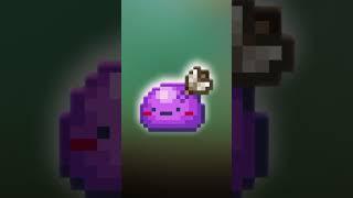 How To GET All The Town Slime's in Terraria 1.4.4!