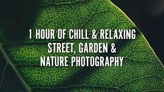 1 Hour of Chill & Relaxing Street Photography and Music