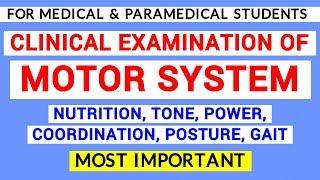 MOTOR SYSTEM EXAMINATION | CLINICAL LAB | PHYSIOLOGY PRACTICALS