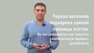 1-я весенняя подкормка N оз. пшеницы. На чем сэкономить и как получить прибавку урожайности