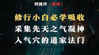 修行小白必学吸收采集先天之气，凝神入氣穴的道家法门！