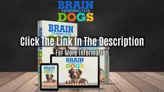 Brain Training For Dogs Full Video