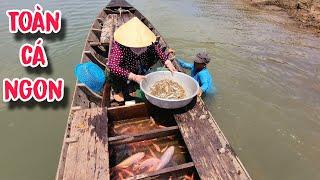 Bữa Nay Lựa Cá Bự Bán Liền , Cá Nhỏ Mình Nuôi Lớn Bán Sau | Tung 66TV