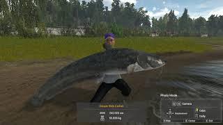 Fishing Planet - Akhtuba - Unique Wels Catfish 53 kg