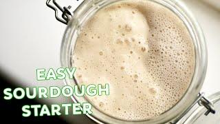 Easy Sourdough Starter Recipe | Make a Wild Yeast Starter at Home