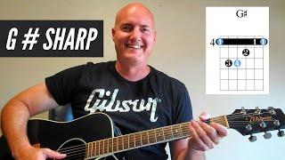 How to Play the G # Sharp Chord on the Acoustic Guitar #shorts