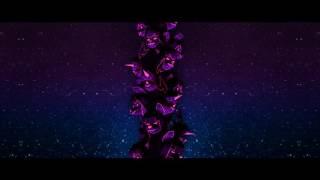 Halley Labs Associates - refract / crystal (full memory) [2YR Hidden Track]