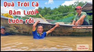 Đánh Lưới Cá Linh Về Kho Mắm Quá Đã | Trọng Lưới CLD #cld #soctrang #mientay #thinhhanh