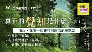 EP108｜真正的「覺知」是什麼？(上)｜沈伶老實說-沈伶