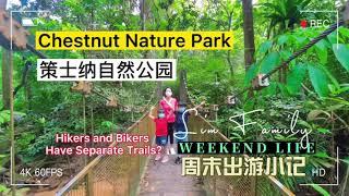 Chestnut Nature Park Singapore | Nature Trail | Healing Sound | Walking Tour #nparks #walkingtour