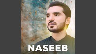 naseeb