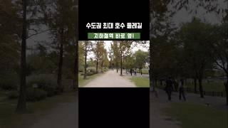 ‍️지하철역과 바로 연결! 가을에 딱, 국내 최대 호수 둘레길 | 대중교통으로 즐기는 서울 근교 당일치기 여행 #대중교통 #트레킹코스 #국내여행 #가을여행지